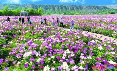 临夏市:为城市留下一抹乡愁