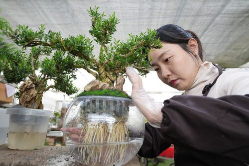 新华全媒 水中花 里看乡村振兴